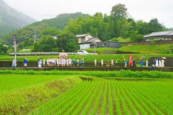 御田祭の写真素材 [FYI03118674] | ストックフォトの Qlean Market