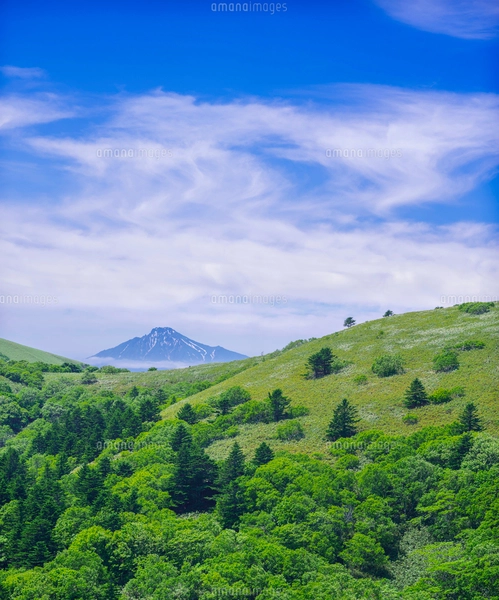 北海道 自然 風景 稚内公園より利尻島遠望 の写真素材 [FYI03143926