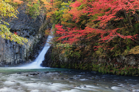 秋田県鹿角市十和田大湯 日本 秋田県 鹿角市の写真素材 [FYI03153374 