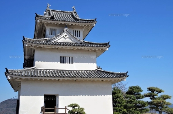No5029 額装　米子城天守閣　明治９年撮影　トミタ高速写真印刷社　送料無料 米子城・天守（Yonago Castle） - Download Free 3D model by