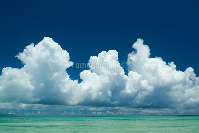 夏の雲 フォト] 夏の雲（1）～何に見える？ アンパンチ！ネコパンチ！どすこい