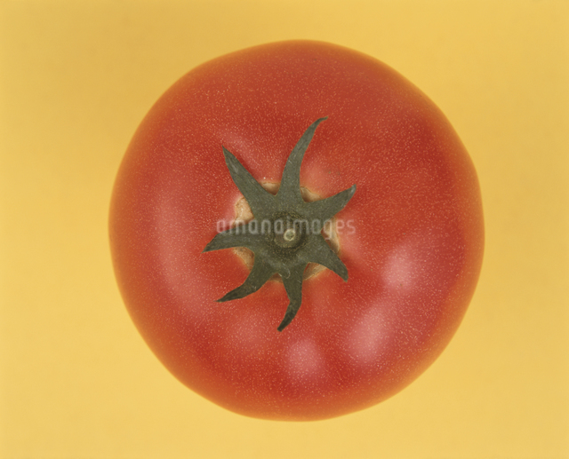 上から見たトマト（赤）の写真素材 [FYI03180320] | ストックフォトの