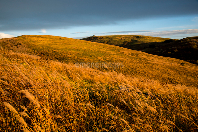 霧ヶ峰高原無名峰より夕焼けに染まる蝶々深山,車山方面の写真素材