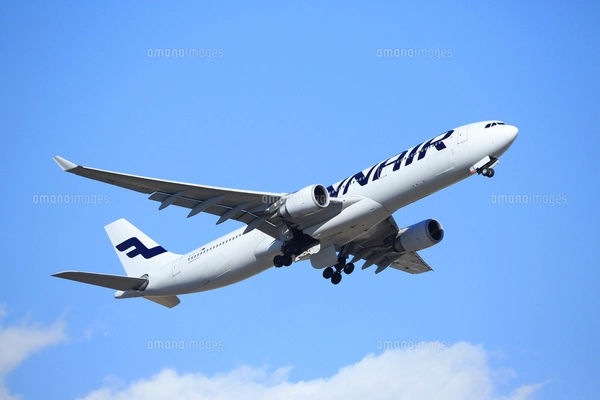 ジェット旅客機 ANA 全日空 パンダ模様塗装の写真素材 [FYI03202921