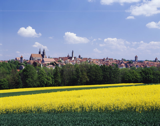 菜の花畑と街ロマンチック街道の写真素材 [FYI03310247] ストックフォトの Qlean Market