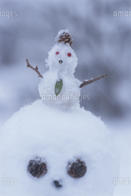 小さい雪だるまの写真素材 [FYI03354660] | ストックフォトの
