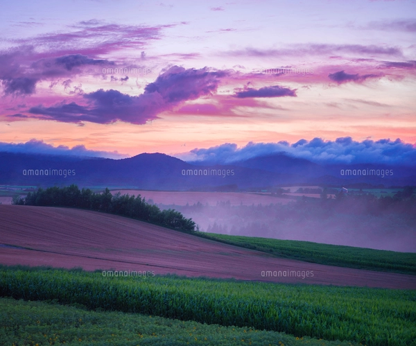 北海道 自然 風景 田園風景と朝焼けの写真素材 [FYI03392985