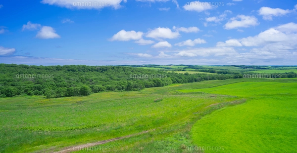 北海道 自然 風景 牧草地と青空の写真素材 [FYI03407179] | ストック