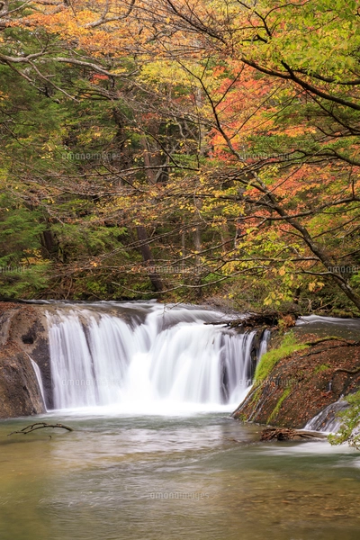 奥日光 小滝の紅葉の写真素材 [FYI03407838] | ストックフォトの