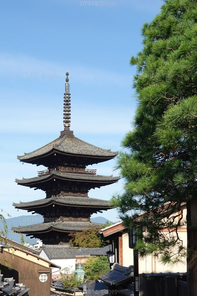 五重の塔 5 Story Pagoda - 上野公園、旧寛永寺五重塔の写真 - トリップアドバイザー