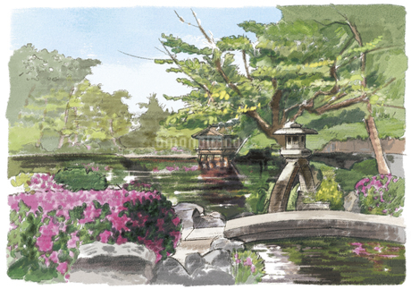 日本画水彩画⑥