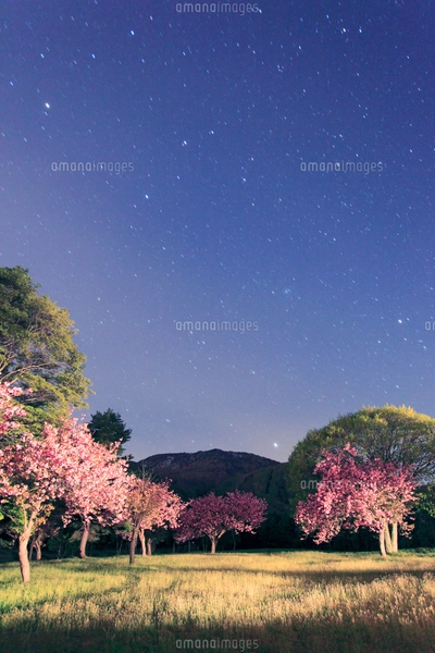 風景画　黒姫山　額縁入り 楽天市場】絵画 額入り 壁掛け F6 葛飾北斎 富嶽三十六景 複製画