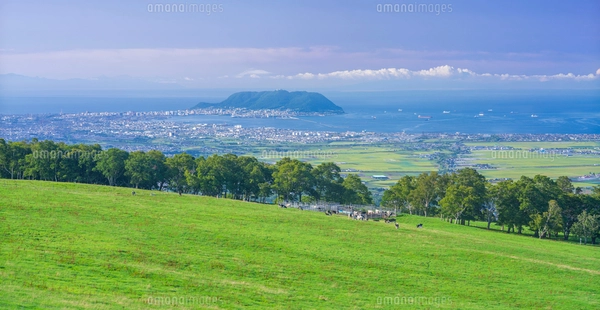 北海道 自然 風景 パノラマ 城岱牧場より函館市街遠望 の写真素材
