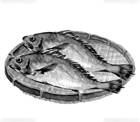 水墨画 魚と海産物 手描き 水墨画 魚と海産物 手描き