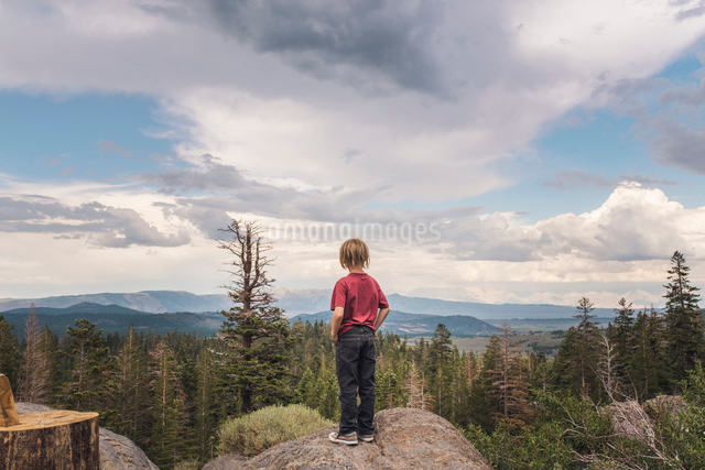Rear view of boy looking at landscape while standing on rock against ...