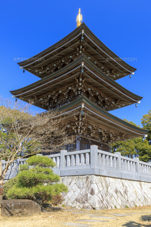茨城県 村松山虚空蔵堂 三重塔の写真素材 [FYI03816554] | ストック