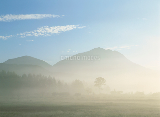 霧がかかった山の景色の写真素材 [FYI03856116] | ストックフォトの