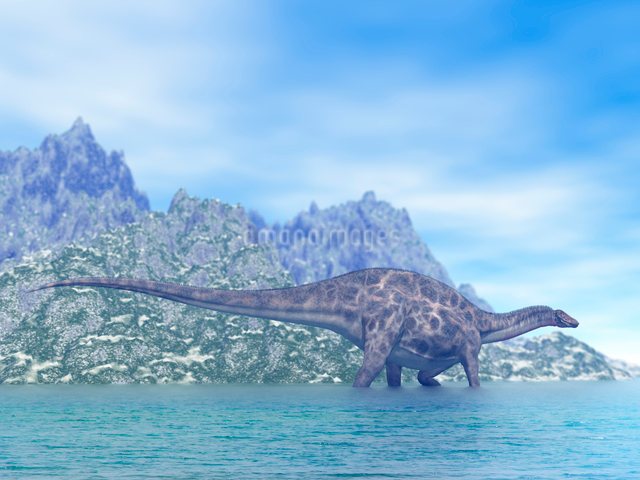 水辺のディクラエオサウルスの写真素材 [FYI03876273] ストックフォトの Qlean Market（キュリンマーケット）