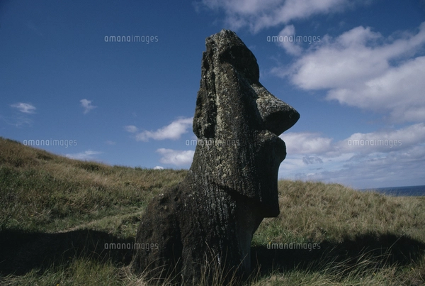 モアイ像 イースター島の写真素材 [FYI04061374] | ストックフォトの