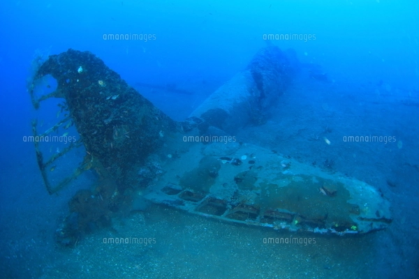海底に沈むゼロ戦,海中の写真素材 [FYI04068171] | ストックフォトの