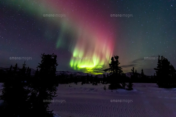 アラスカ フェアバンクスのチェナ山頂から見たオーロラの写真素材