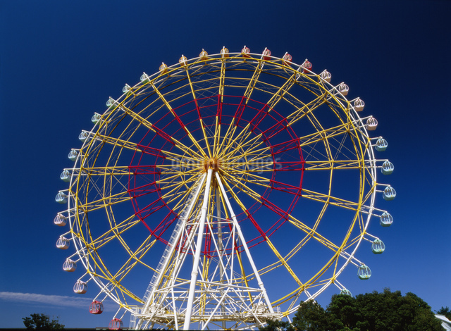 国営ひたち海浜公園の観覧車の写真素材 [FYI03968515] | ストック