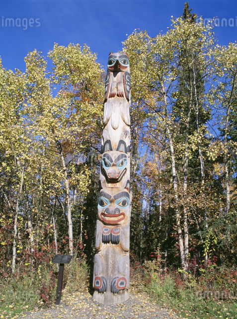 とーてむぽーる トーテムポールの写真素材 [FYI03989907] | ストックフォトの