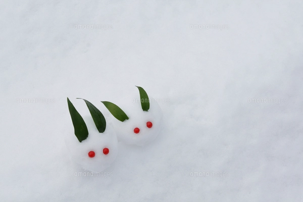 雪で作った雪うさぎの写真素材 [FYI04066920] | ストックフォトの