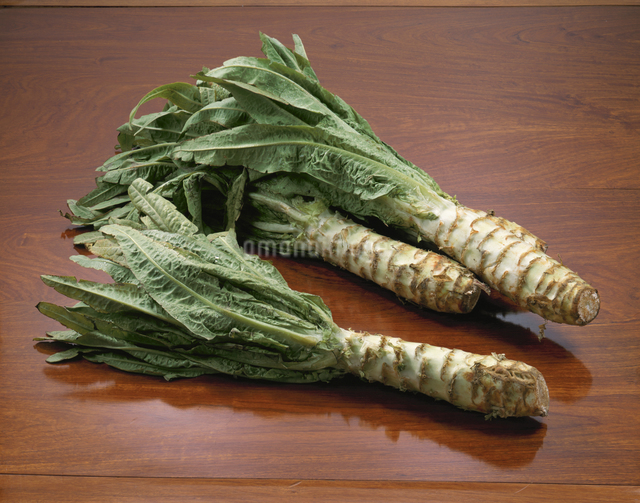 セルタス（茎チシャ）の写真素材 [FYI04078808] | ストックフォトの Qlean Market（キュリンマーケット）