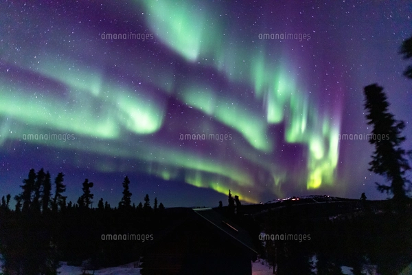 アラスカ フェアバンクスのオーロラの写真素材 [FYI04084467