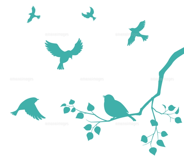 鳥の群れと木の枝のイラスト素材 [FYI04110359] | ストックフォトの
