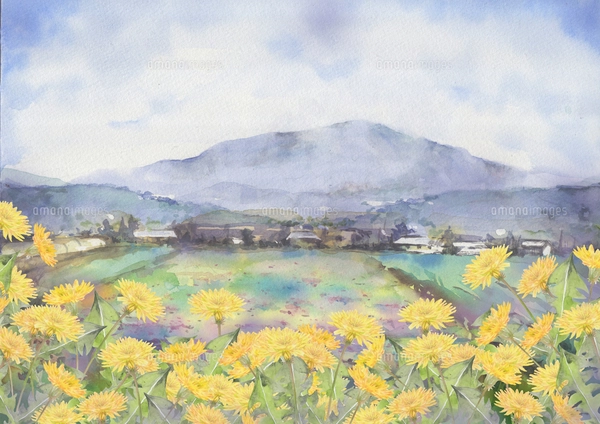 タンポポ風景画のイラスト素材 [FYI04110821] | ストックフォトの
