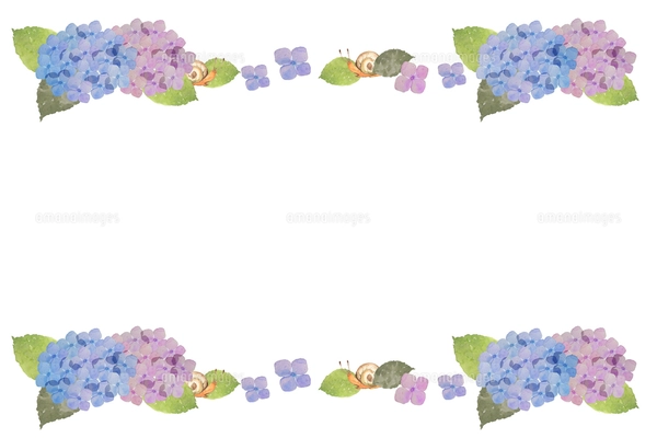 紫陽花とカタツムリのイラスト素材 [FYI04116872] | ストックフォトの