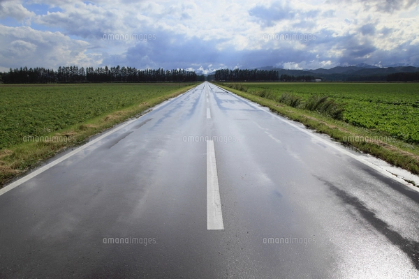 雨上がりの一本道の写真素材 [FYI04146537] | ストックフォトの Qlean