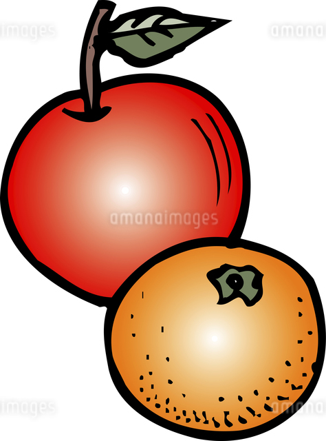 りんごとみかんのイラスト素材 [FYI04199992] | ストックフォトの