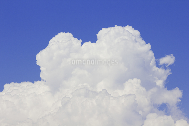 入道雲,積乱雲,雲,白い,白,晴れ,夏,自然,気象,天気,青空,空,風景,白色
