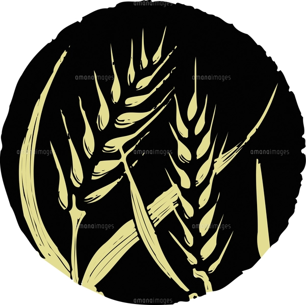 麦のイラスト素材 [FYI04213125] | ストックフォトの Qlean Market