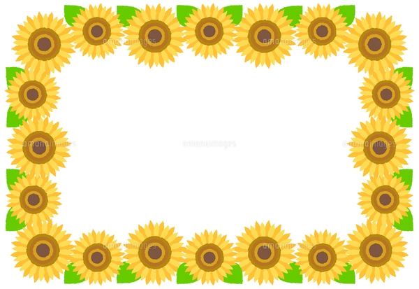 ひまわりのフレーム イラストのイラスト素材 [FYI04309599] | ストック
