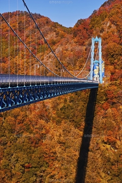 竜神大吊橋 無料クーポン券