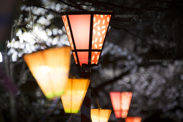 桜祭りぼんぼり提灯 20個 桜祭りぼんぼり提灯 20個 桜祭りぼんぼり提灯