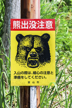 クマ出没注意の看板の写真素材 [FYI04542483] | ストックフォトの
