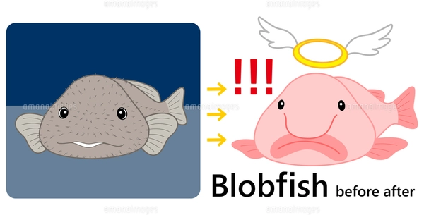 深海魚 ニュウドウカジカ ブロブフィッシュ 道化師 ピエロ 絵画 画家 ホラー ニュウドウカジカ｜生き物紹介｜アクアマリンふくしま