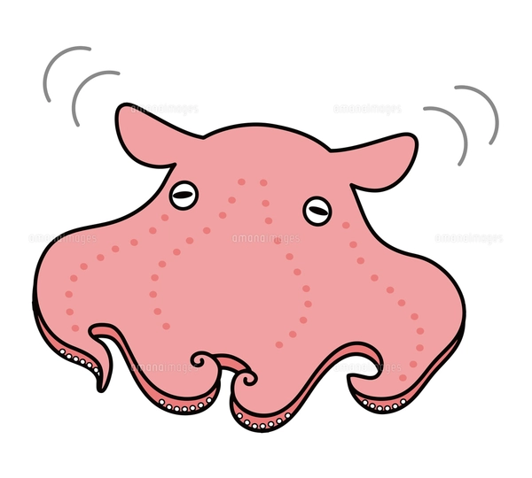 メンダコ キャラクター イラストのイラスト素材 [FYI04564238