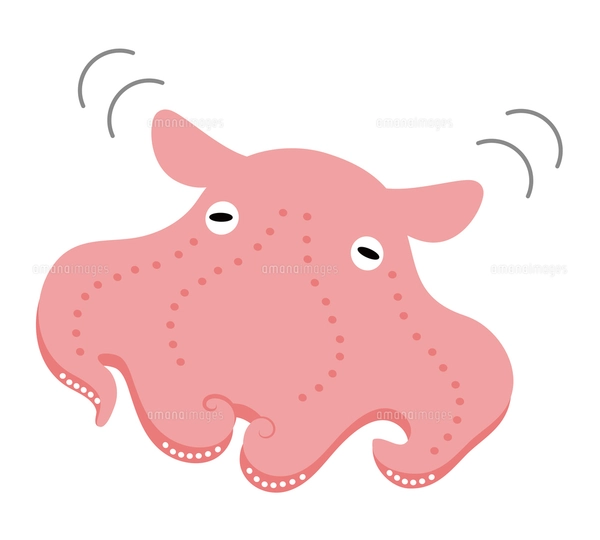 メンダコ キャラクター イラストのイラスト素材 [FYI04564237