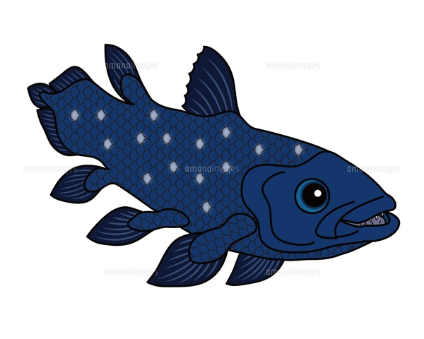 シーラカンス 深海魚 キャラクター イラスト クリップアートのイラスト