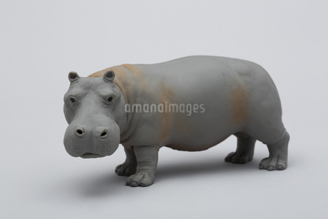 カバのフィギュアの写真素材 [FYI04580101] | ストックフォトの Qlean