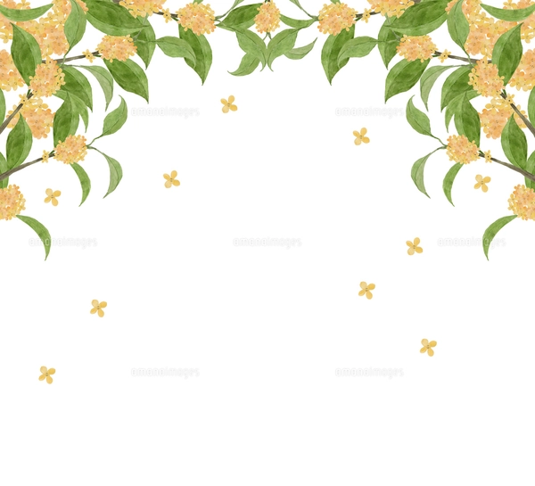 風景画 水彩版画 金色フレーム 金木犀の水彩画 青空背景のイラスト素材