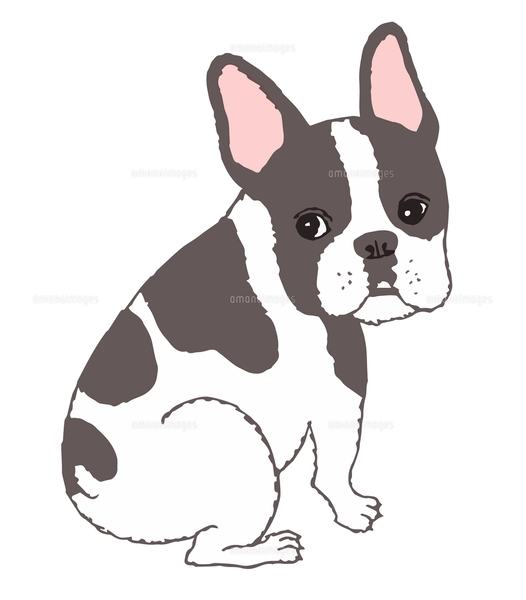 フレンチブルの絵 フレンチ・ブルドックのイラスト 2 | カットショップ 画点