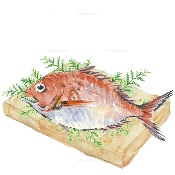 鯛 たい 2尾 ひば まな板 【水彩】のイラスト素材 [FYI04623799