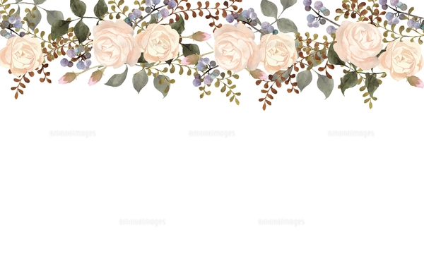 シックな白薔薇のフレームのイラスト素材 [FYI04675094] | ストック